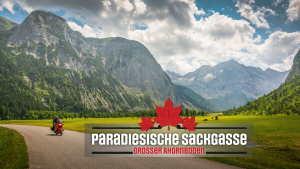 Großer Ahornboden